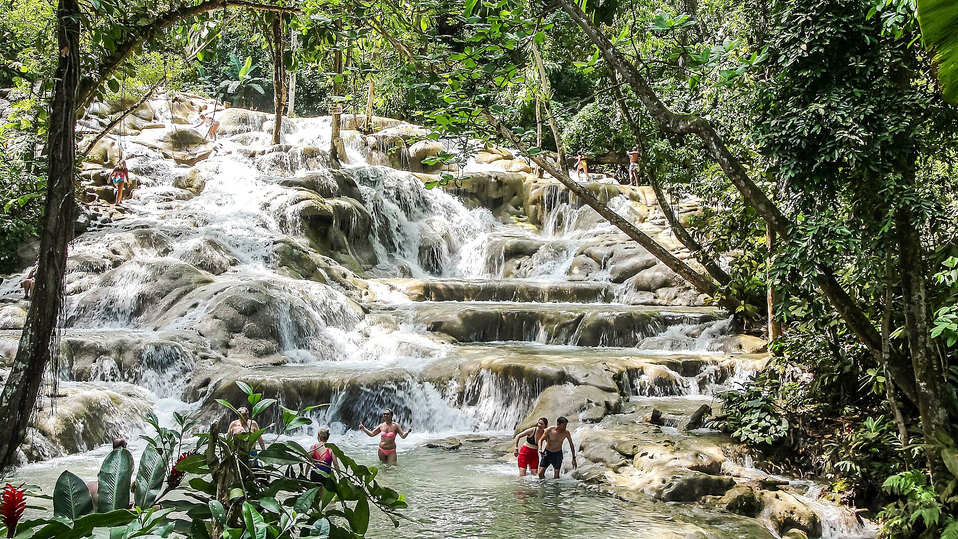 Dunn's River Falls cascading through the jungle
